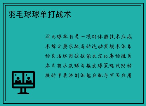 羽毛球球单打战术